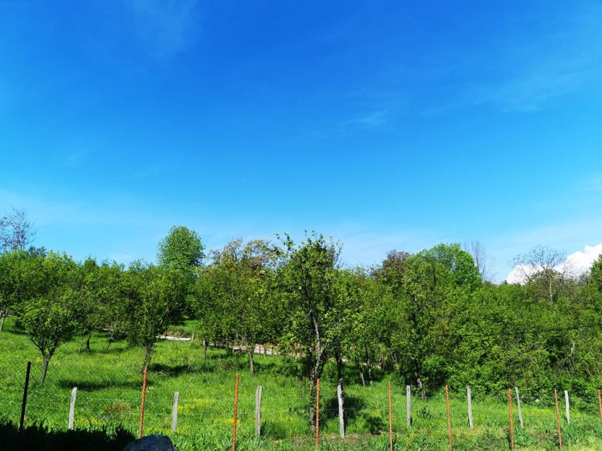 Casuta Din Gradina Villa Horezu Exterior photo