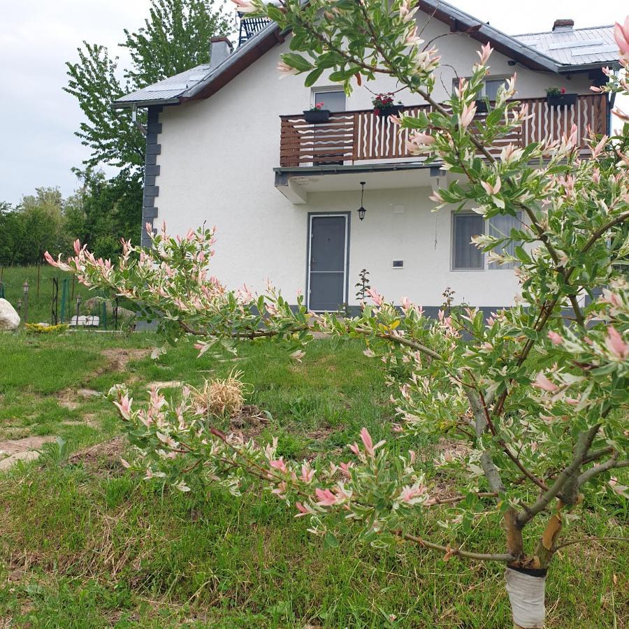 Casuta Din Gradina Villa Horezu Exterior photo