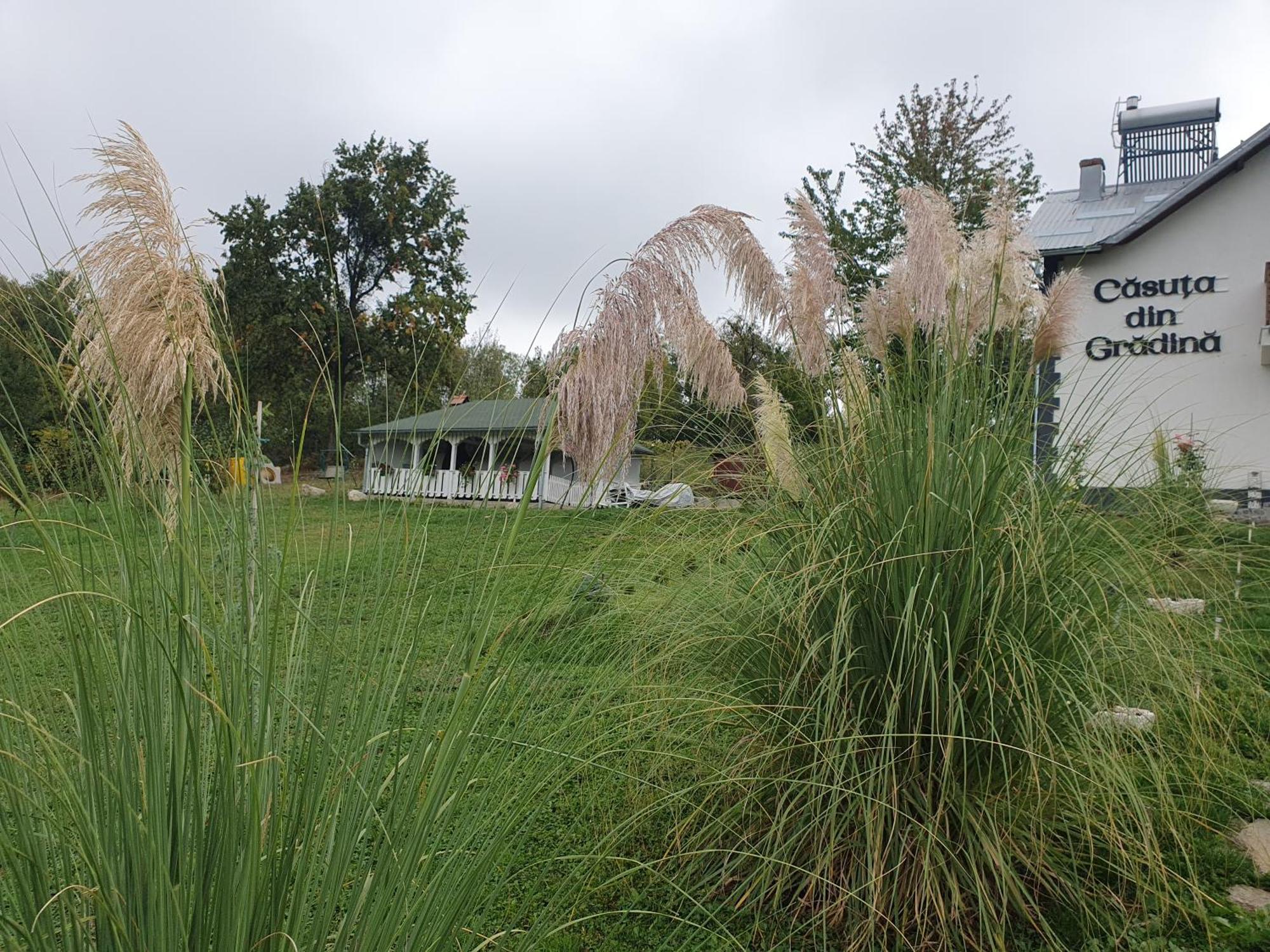 Casuta Din Gradina Villa Horezu Exterior photo